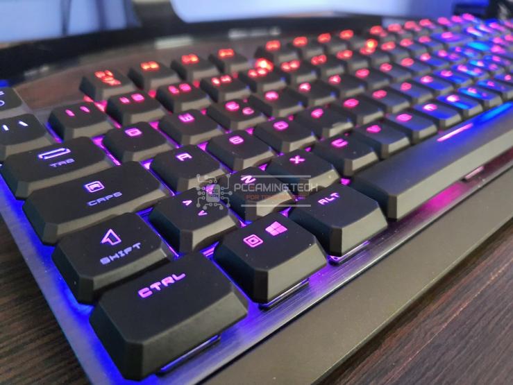 MSI Vigor GK50 Low Profile IT Tastiera Gaming Meccanica (Kailh LP White),  retroilluminazione LED RGB Mystic Light per singolo tasto, design tasti  ottagonale, Gaming e Ufficio, Layout ITALIANO QWERTY : :  Videogiochi